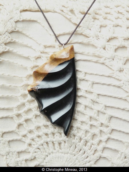 A sea shell pendant, carved in massive ebony, with a sapwood margin.