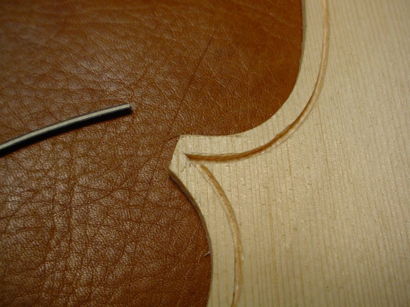 The points are delicate, especially in the spruce.