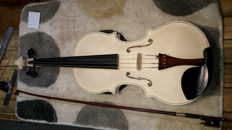 And here is the viola mounted in the white !