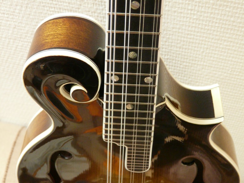 Bluegrass F5 style mandolin making